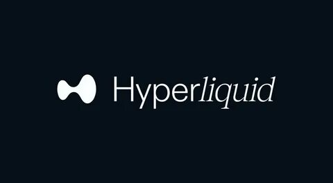 Hyperliquid: A Holistic Overview for Developers
